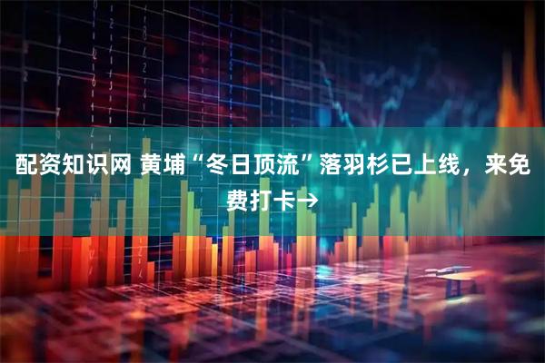 配资知识网 黄埔“冬日顶流”落羽杉已上线，来免费打卡→
